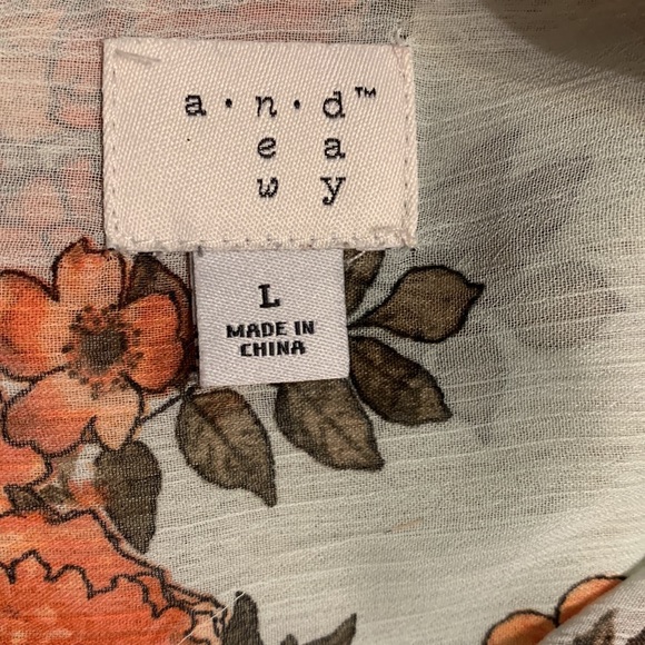 Given as GiftbSemi Sheer Shirt Tail Blouse - Picture 4 of 7